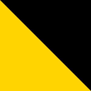 Amarelo / preto