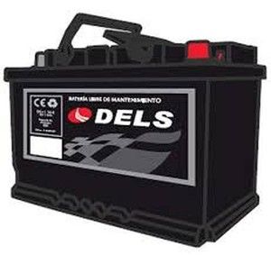Dels