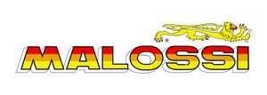 Malossi