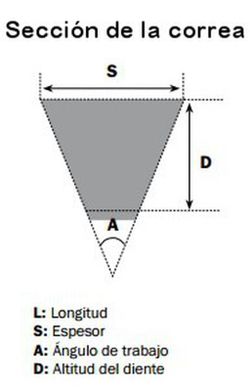 Courroie d'entraînement Bando Honda Sh